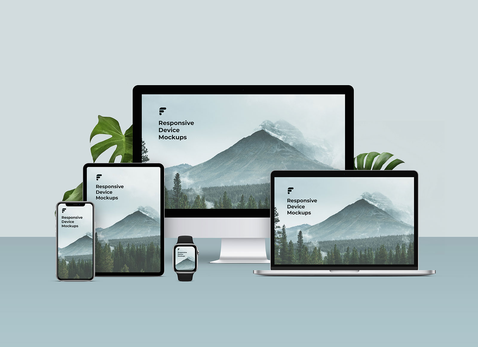 Essential Launch